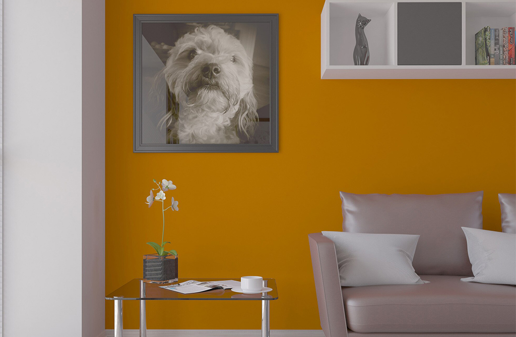 Best Interior Design Company Visakhapatnam